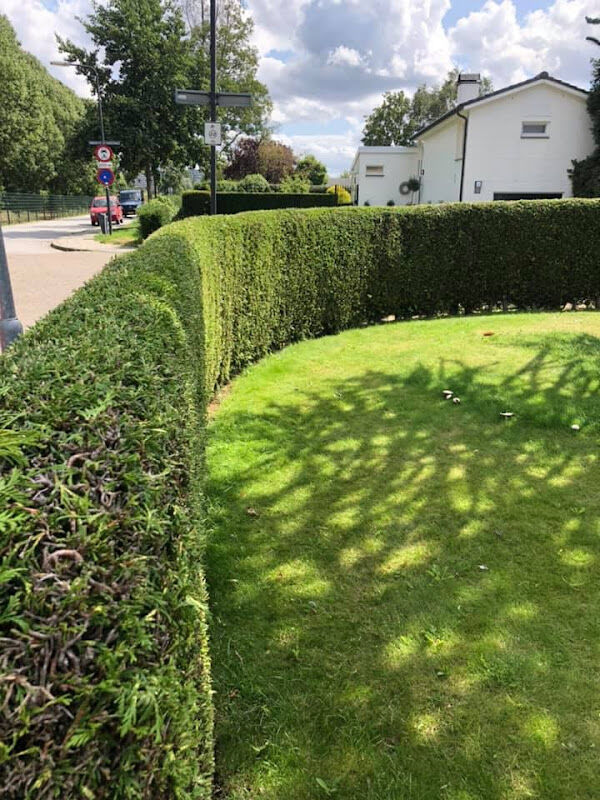 Foto van Hendriks - Gardens Hoveniersbedrijf