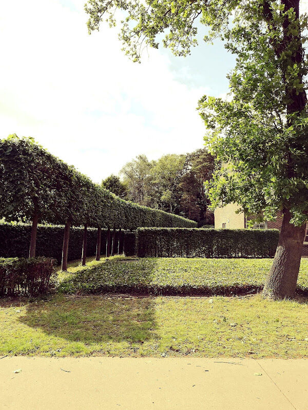 Foto van Tuinwerken Jan Lambrechts