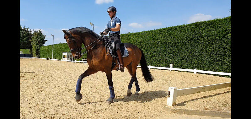 Foto van SJ Dressage Stable