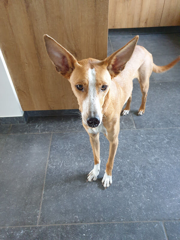 Foto van massagepraktijk SaGe