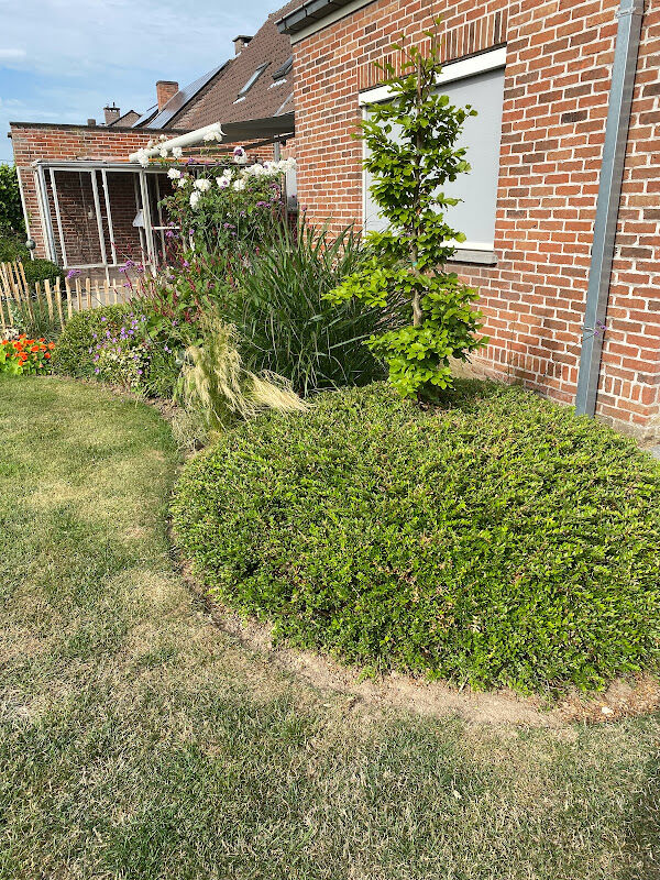 Foto van Speeltuin Palingstraat