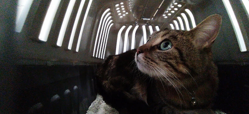 Foto van De Dommel Dierenartsenpraktijk
