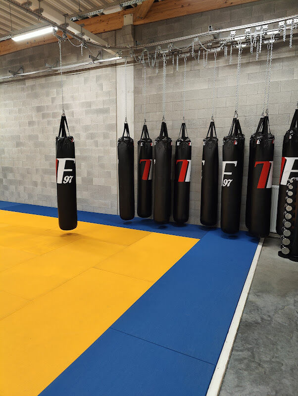 Foto van Fundamentals Jiu-Jitsu