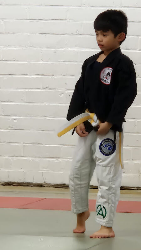 Foto van Ju-Jutsu & Self-Defense