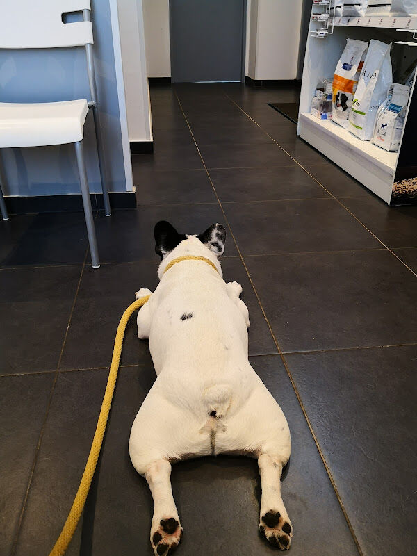 Foto van Dierenartsenpraktijk Marianne Ottevaere