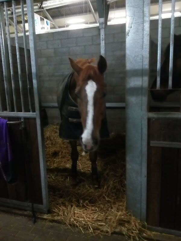 Foto van Martinus Paardenhumaniora