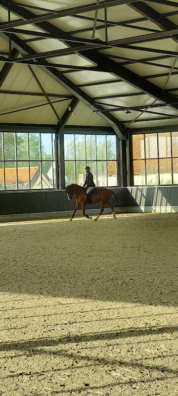 Foto van Stal Ter Meersen - Dries Goethals