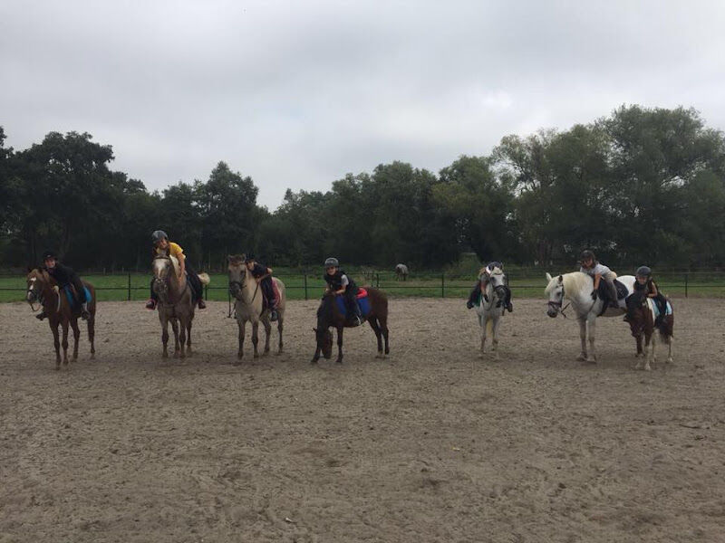 Foto van Manege Volmolen
