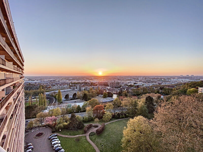 Foto van D.L.D properties
