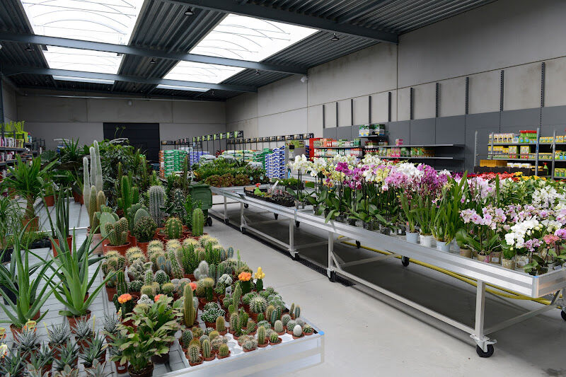 Foto van Bloemen Tuincentrum Geschenken Sampermans