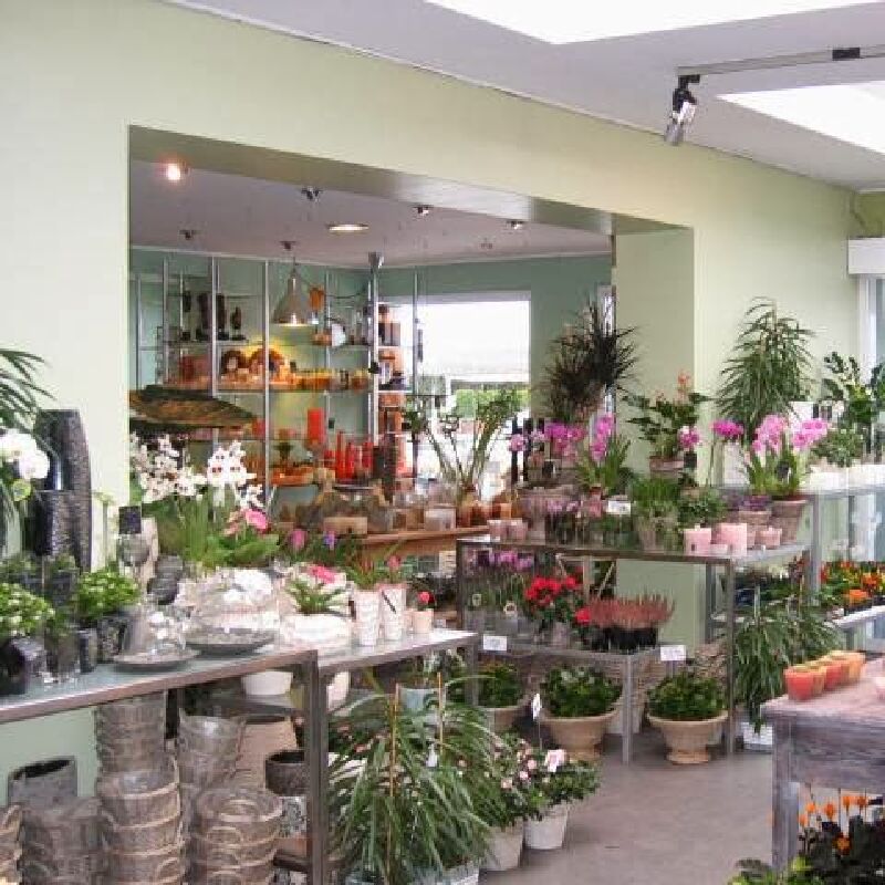 Foto van deurnese bloemenhoek