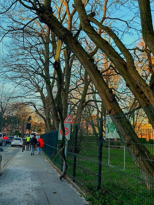 Foto van Meertalig Atheneum Woluwe