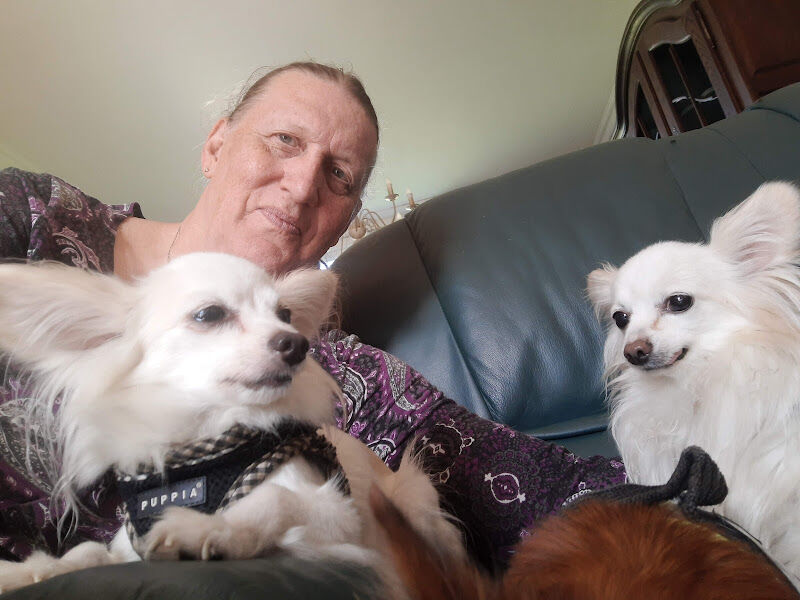 Foto van Buddaert Dierenarts / Wim