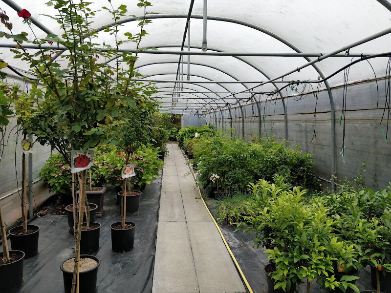 Foto van Tuincentrum 't Bloemenhofke