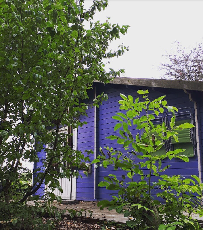 Foto van Bosgroen