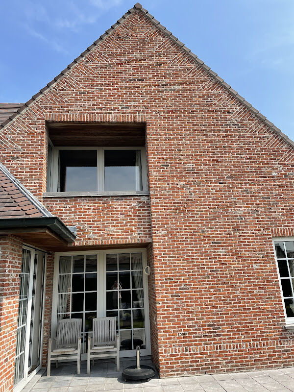 Foto van Mosmonster - Pionier in dakontmossing