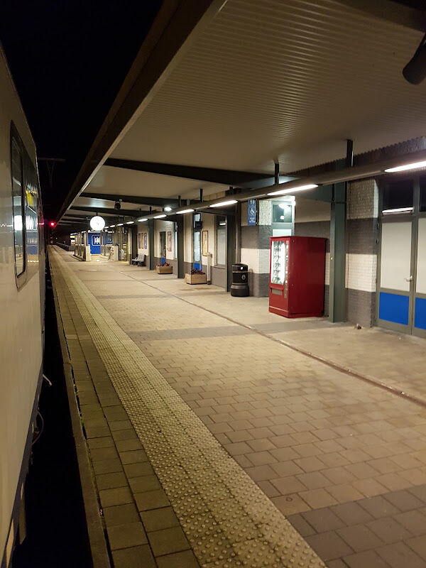 Foto van Mol