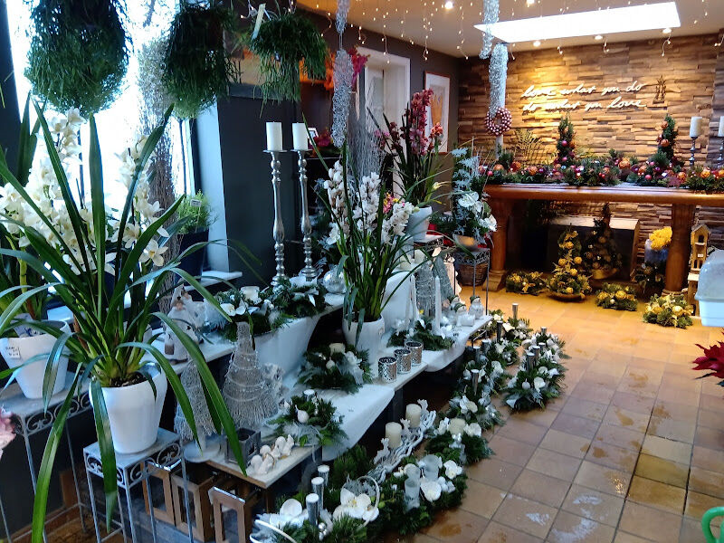 Foto van Acacia