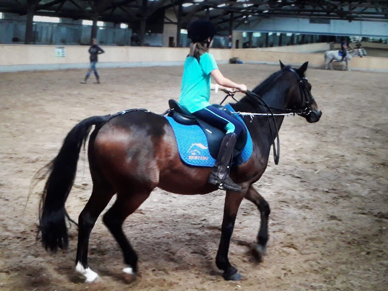 Foto van Manege De Mustang