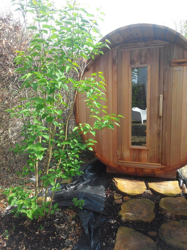 Foto van Pluimpapaver Hotel & Glamping