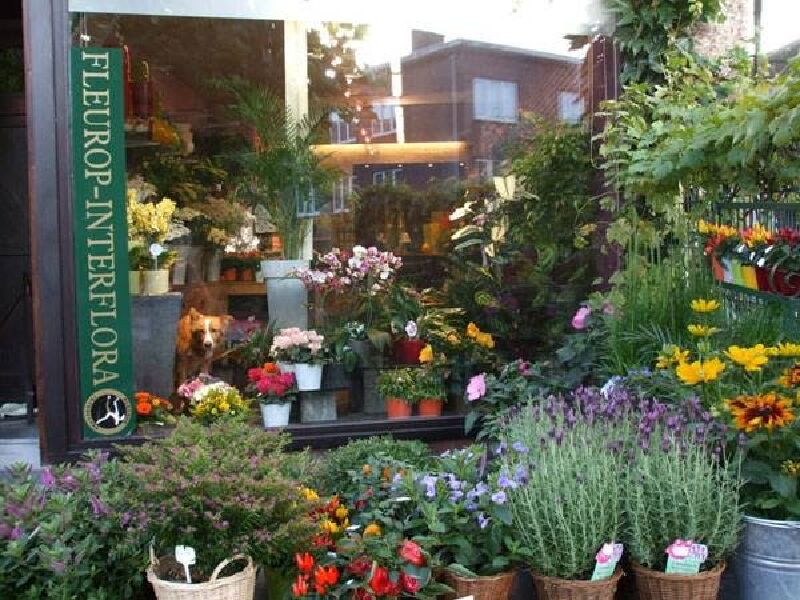 Foto van Bloemen Henderickx