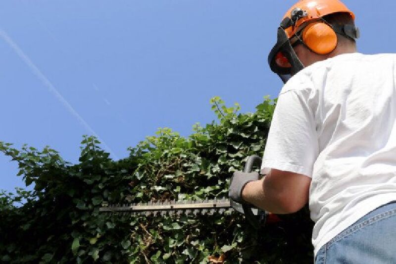 Foto van Tuinwerken Knoops