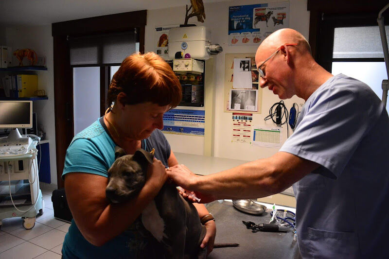 Foto van Dierenarts Debakker Olivier Oostduinkerke En Koksijde