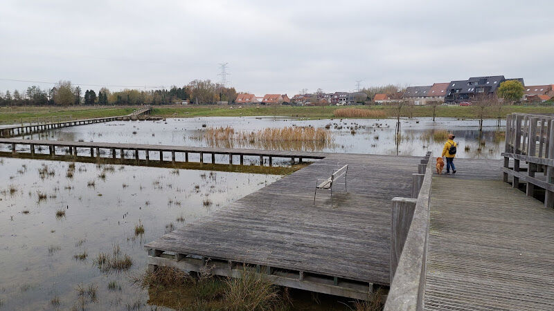 Foto van Bufferbekken langs Moubeek