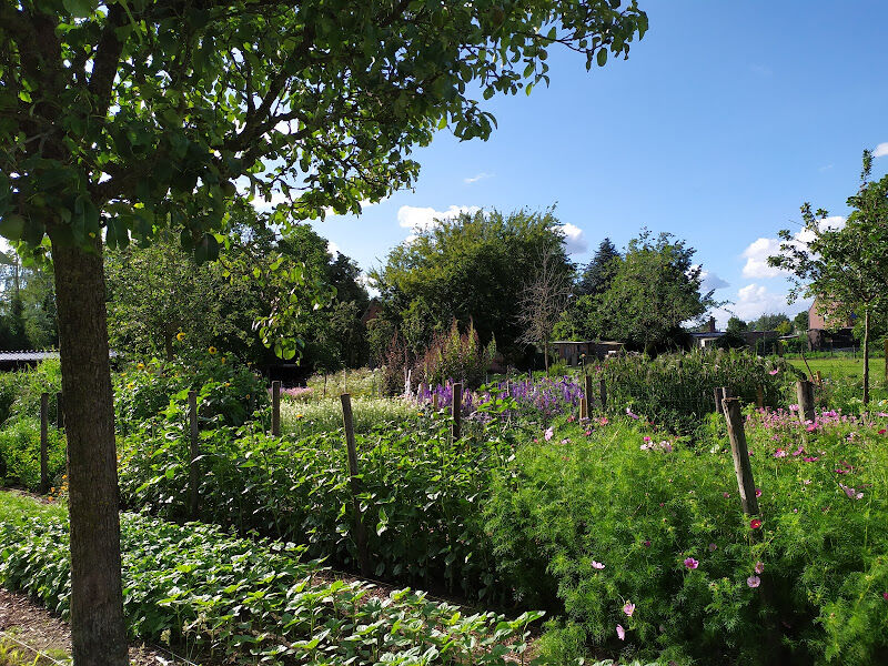 Foto van Bes en Bloem