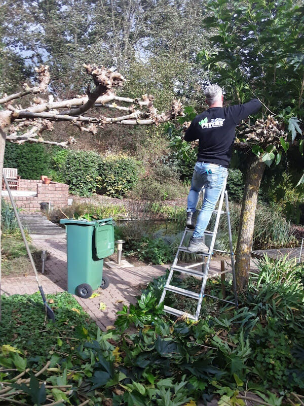 Foto van Peters Tuin & Straatwerk | Hovenier | Stratenmaker