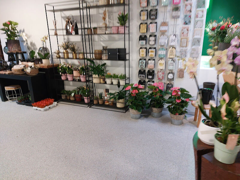 Foto van 't Groene Hart