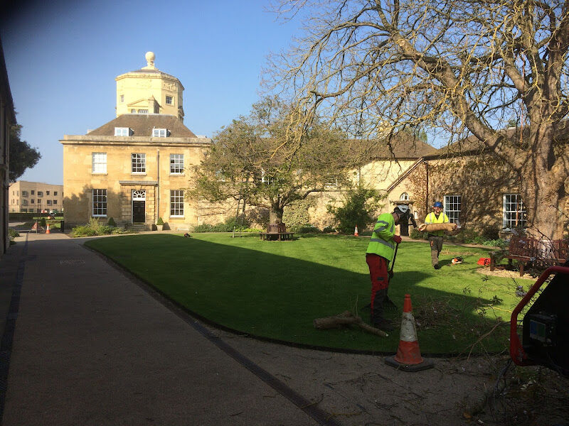 Foto van Young's Tree Services
