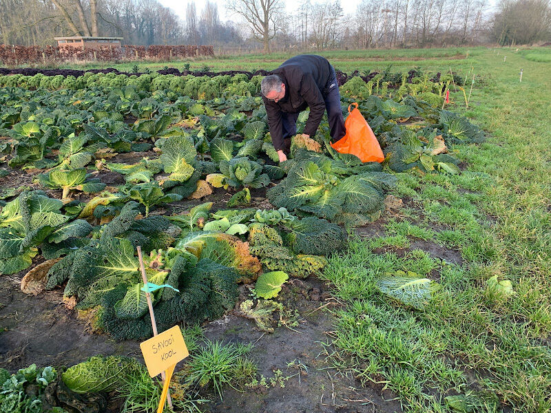 Foto van Plukhof Beernem