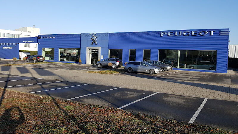 Foto van Garage Selleslaghs