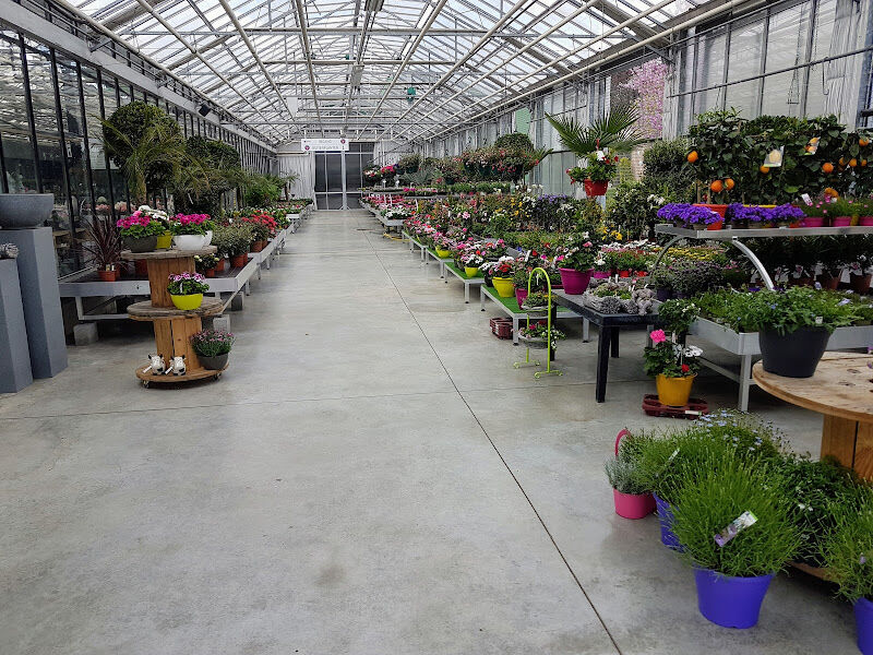 Foto van Vanda Flowers & Gifts
