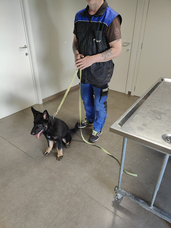 Foto van Beckers / Justin