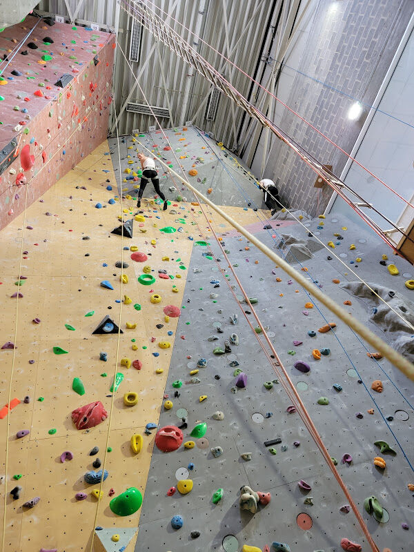 Foto van Brussels Monkeys Climbing