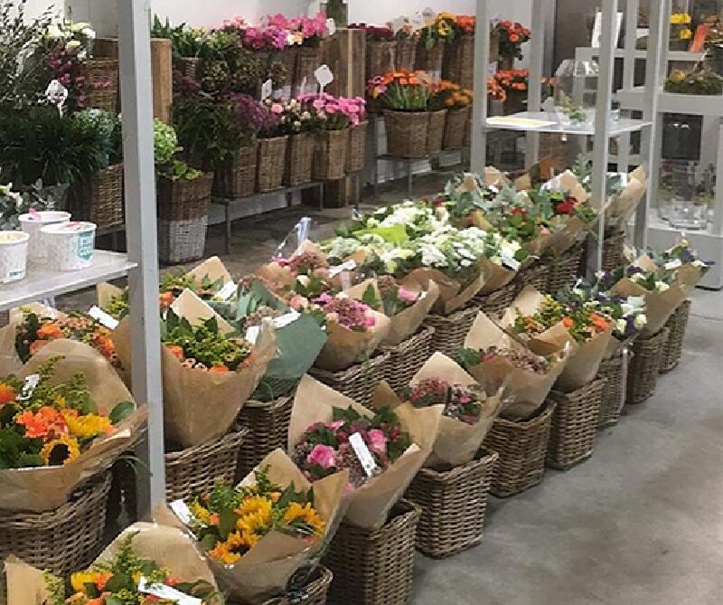 Foto van Tuincentrum Goessens Erpe-Mere