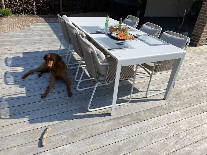 Foto van Poké@Home