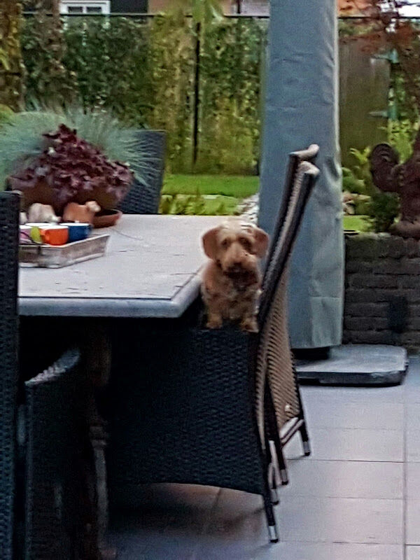 Foto van René Vos Advies (RVA)