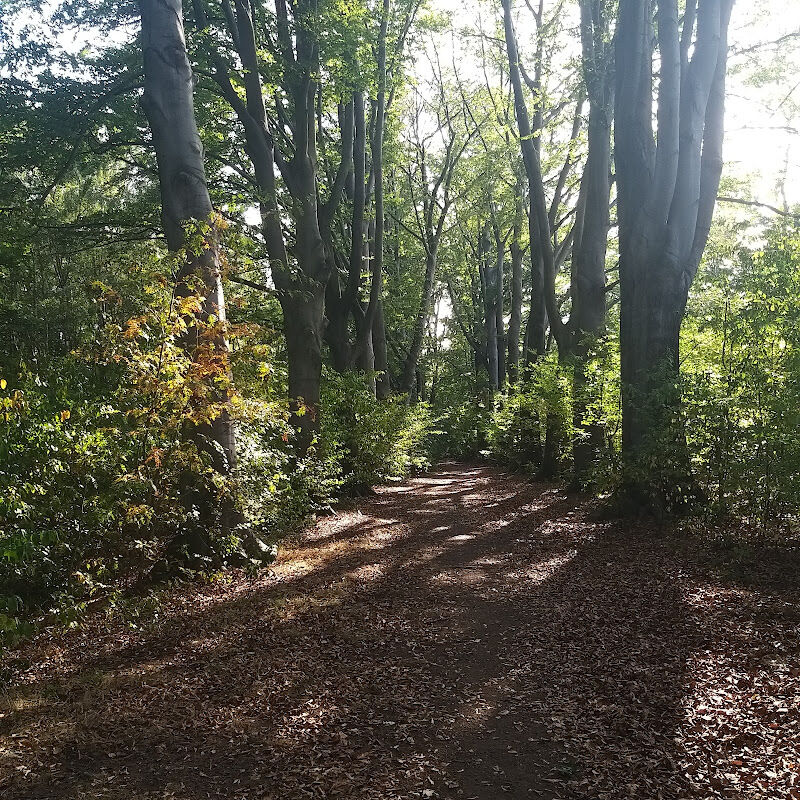 Foto van Speeltuin Pieter Breughelstraat