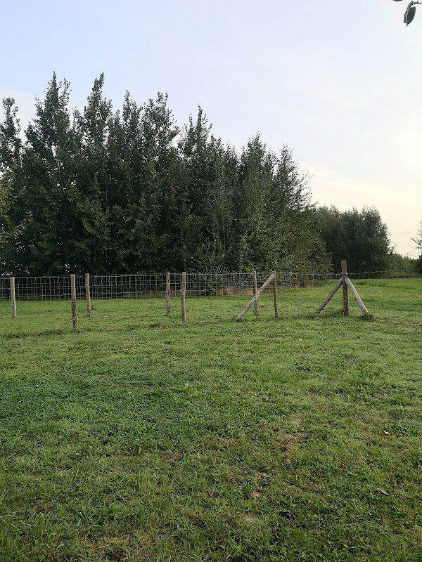 Foto van Hondenspeelweide Staden
