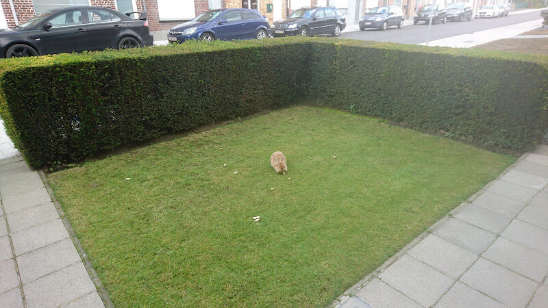 Foto van Ardooie Rozendaal