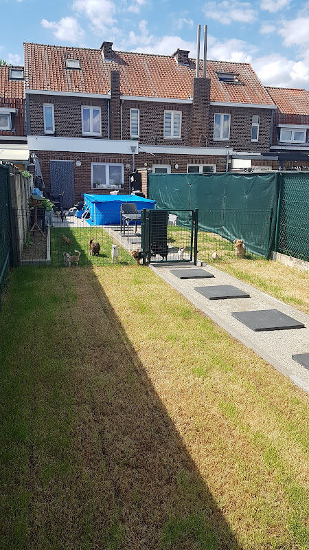 Foto van CASA GIARDINI