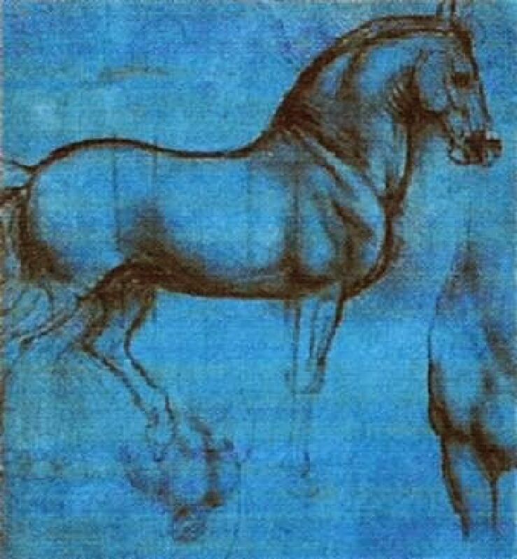 Foto van Equi-Soins