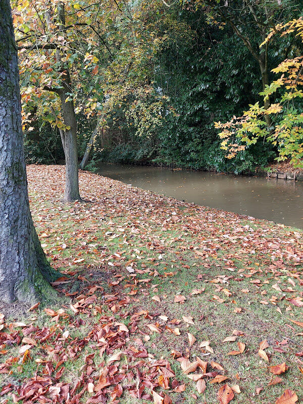 Foto van Speeltuin 't Hofke - Tibourschrans