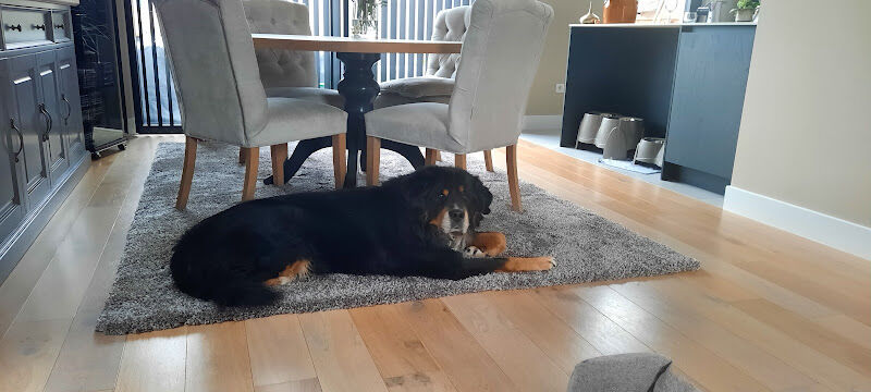 Foto van Naulaerts Paul