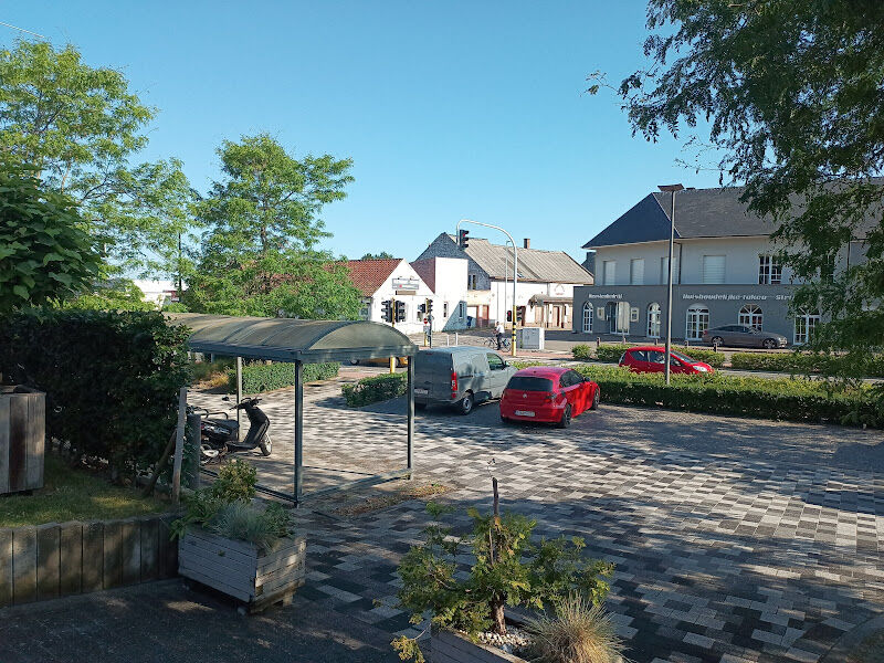 Foto van Marlin