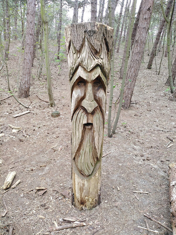 Foto van Wonderbos