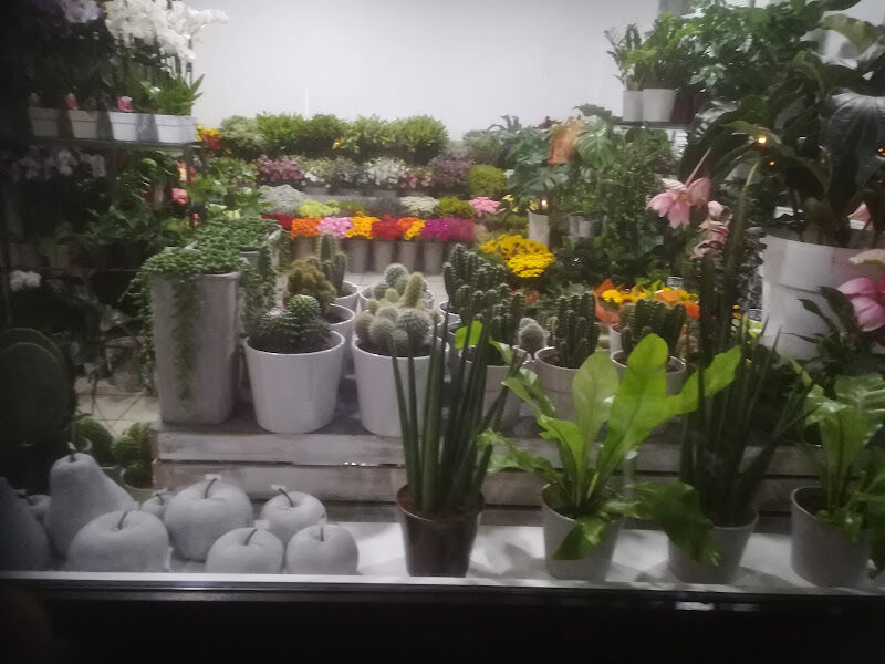 Foto van Bloem?bloem!